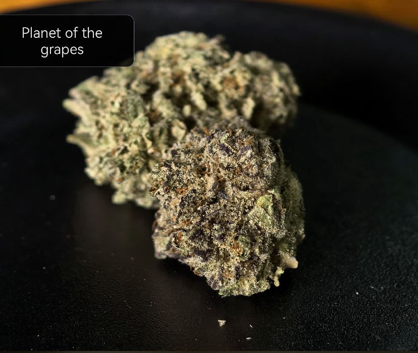 Planet of the Grapes Pops (Indica-dominant Hybrid)