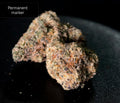 Permanent Marker Hybrid (Indica-leaning)