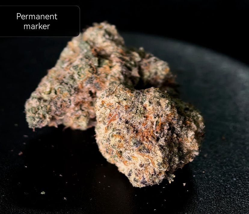 Permanent Marker Hybrid (Indica-leaning)