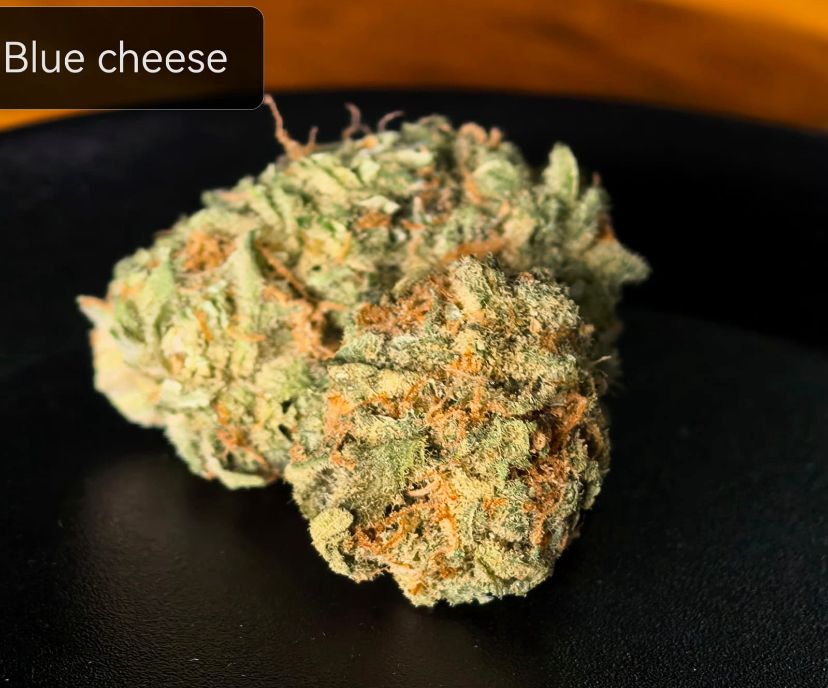 Blue Cheese (Hybrid 50/50)