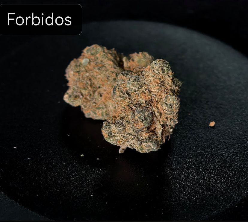 Forbidos Hybrid (indica-leaning)