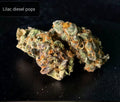 Lilac Diesel(Sativa)