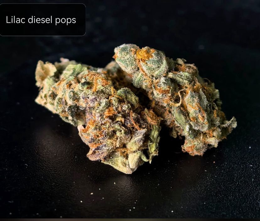 Lilac Diesel(Sativa)