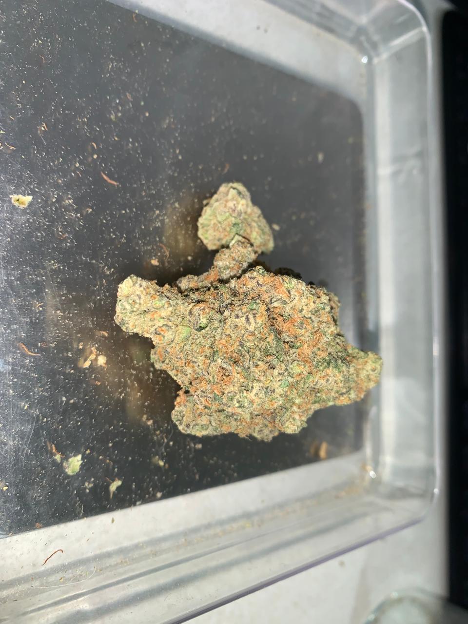 Specimen X — Hybrid THC: 20–23%