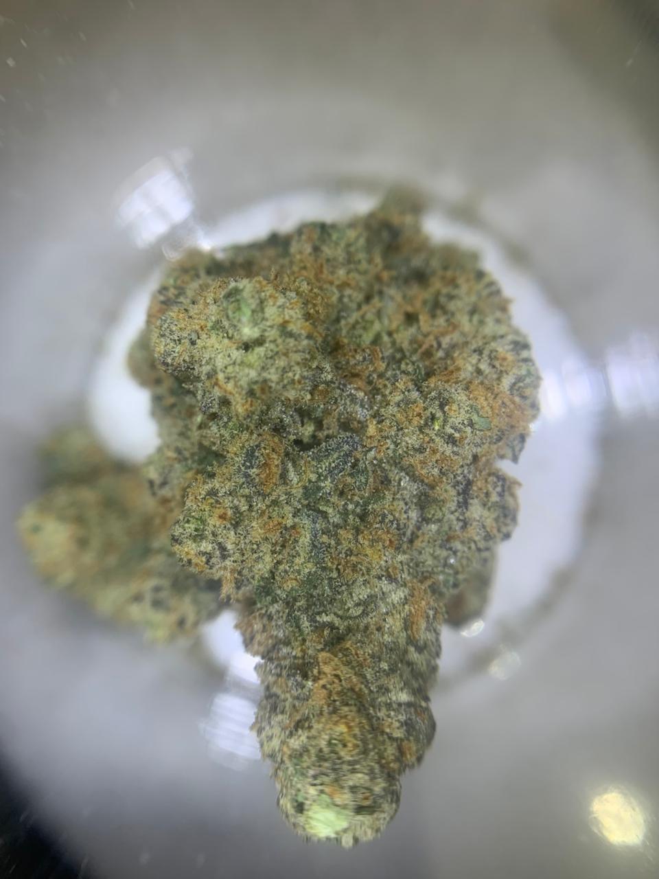 Specimen X — Hybrid THC: 20–23%