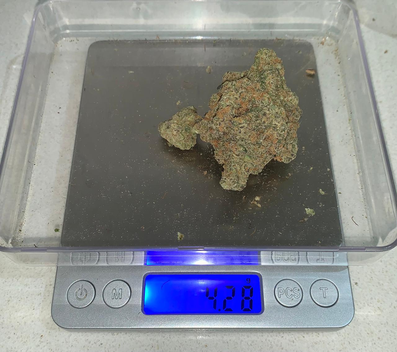 Specimen X — Hybrid THC: 20–23%