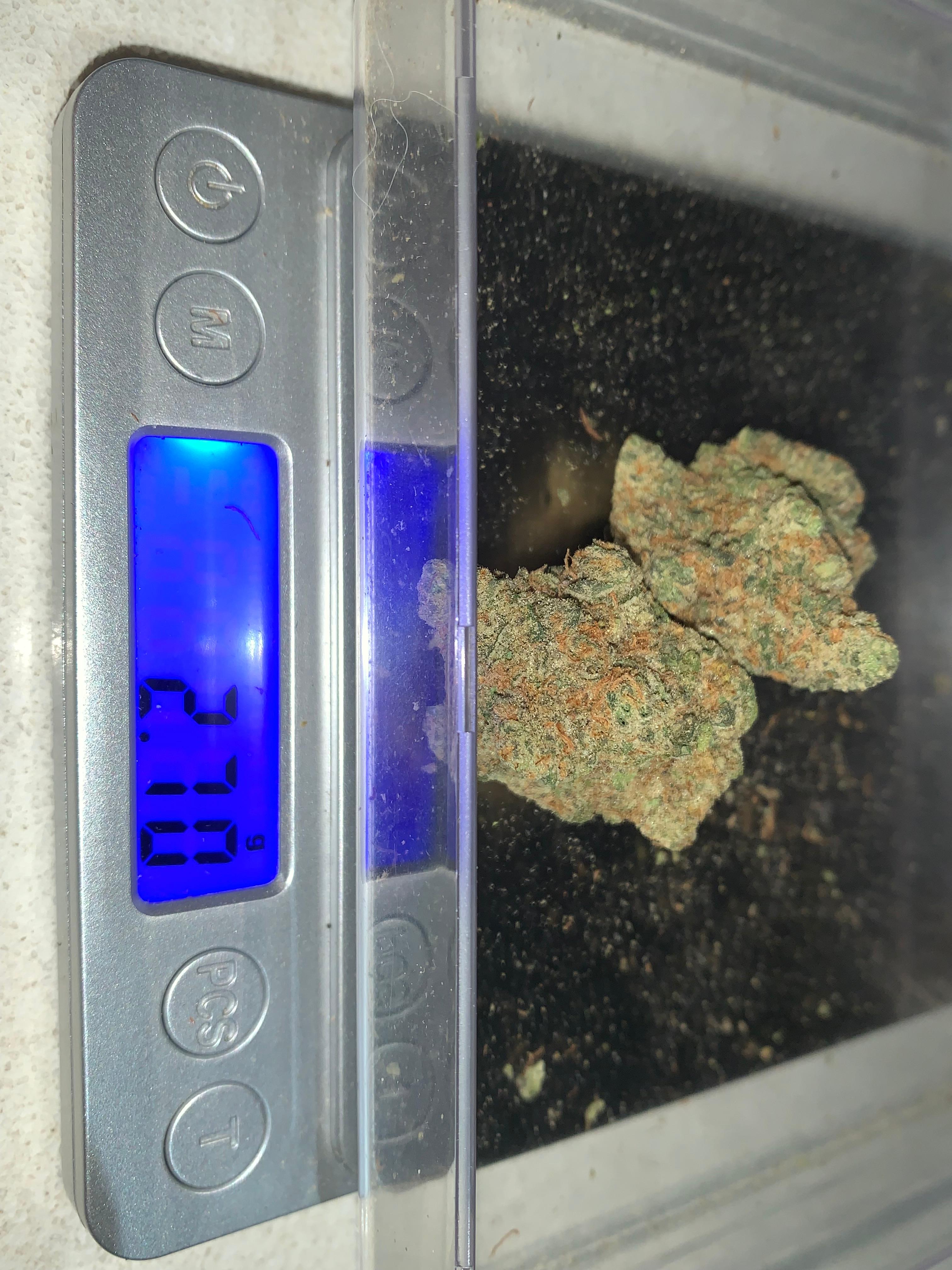 Specimen X — Hybrid (Hydroponic) THC: 22–26%