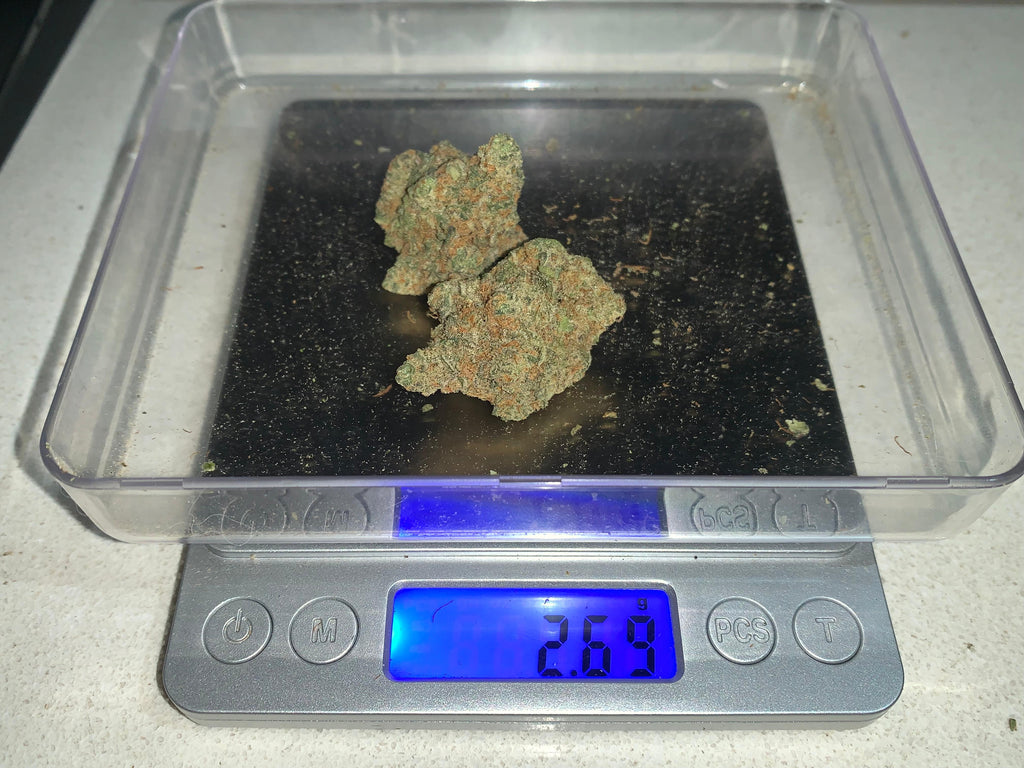 Specimen X — Hybrid (Hydroponic) THC: 22–26%