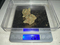 Specimen X — Hybrid (Hydroponic) THC: 22–26%