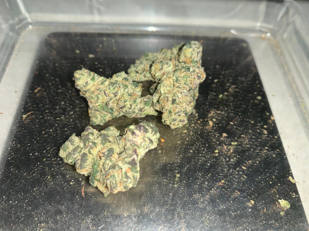Chimera X — Hybrid (Hydroponic) THC: 24–28%