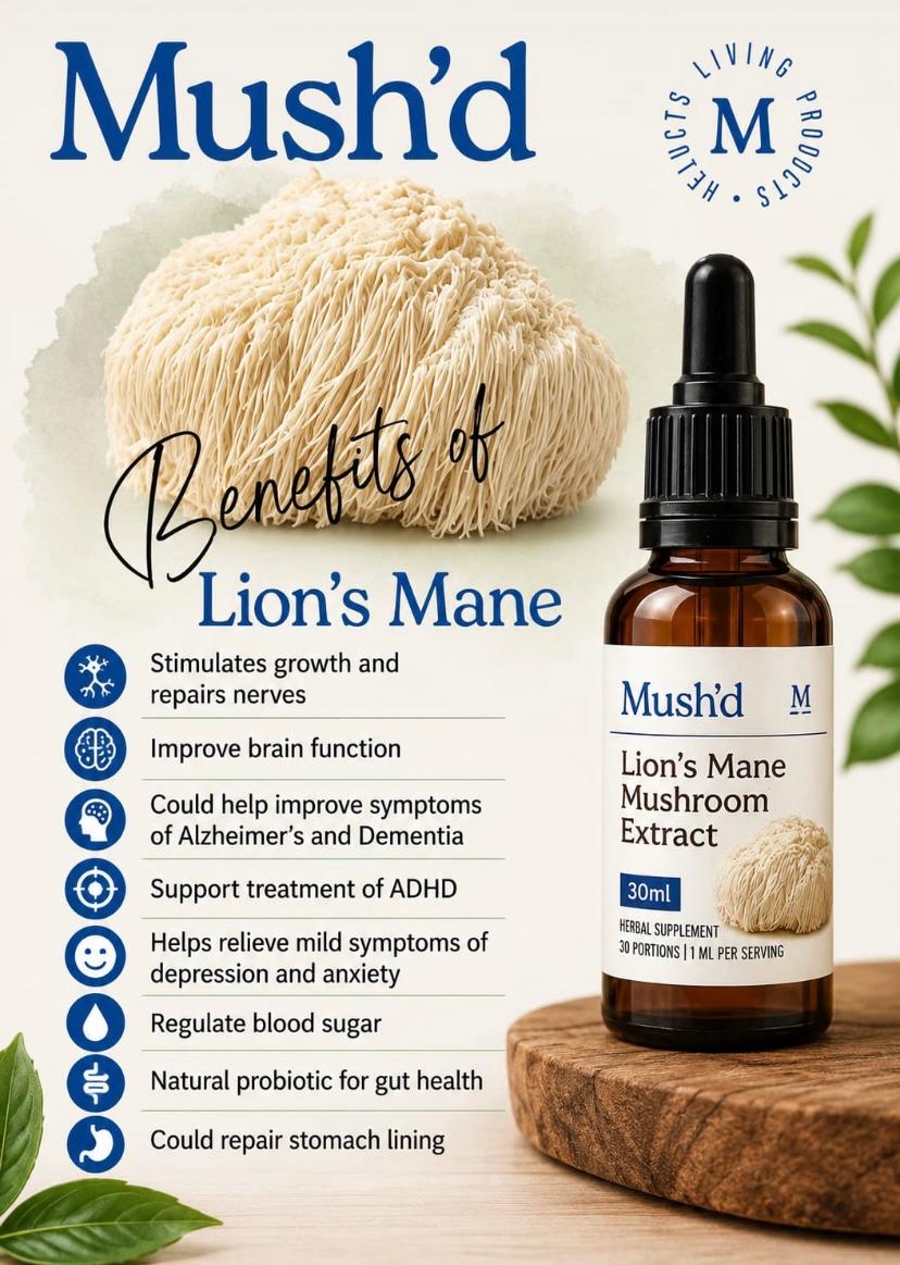 Mush’d Lion’s Mane Mushroom Extract — 30ml (30 Servings | 1ml per Serving)