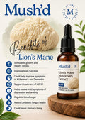 Mush’d Lion’s Mane Mushroom Extract — 30ml (30 Servings | 1ml per Serving)