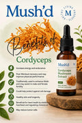 Mush’d Cordyceps Mushroom Extract 30ml Herbal Supplement