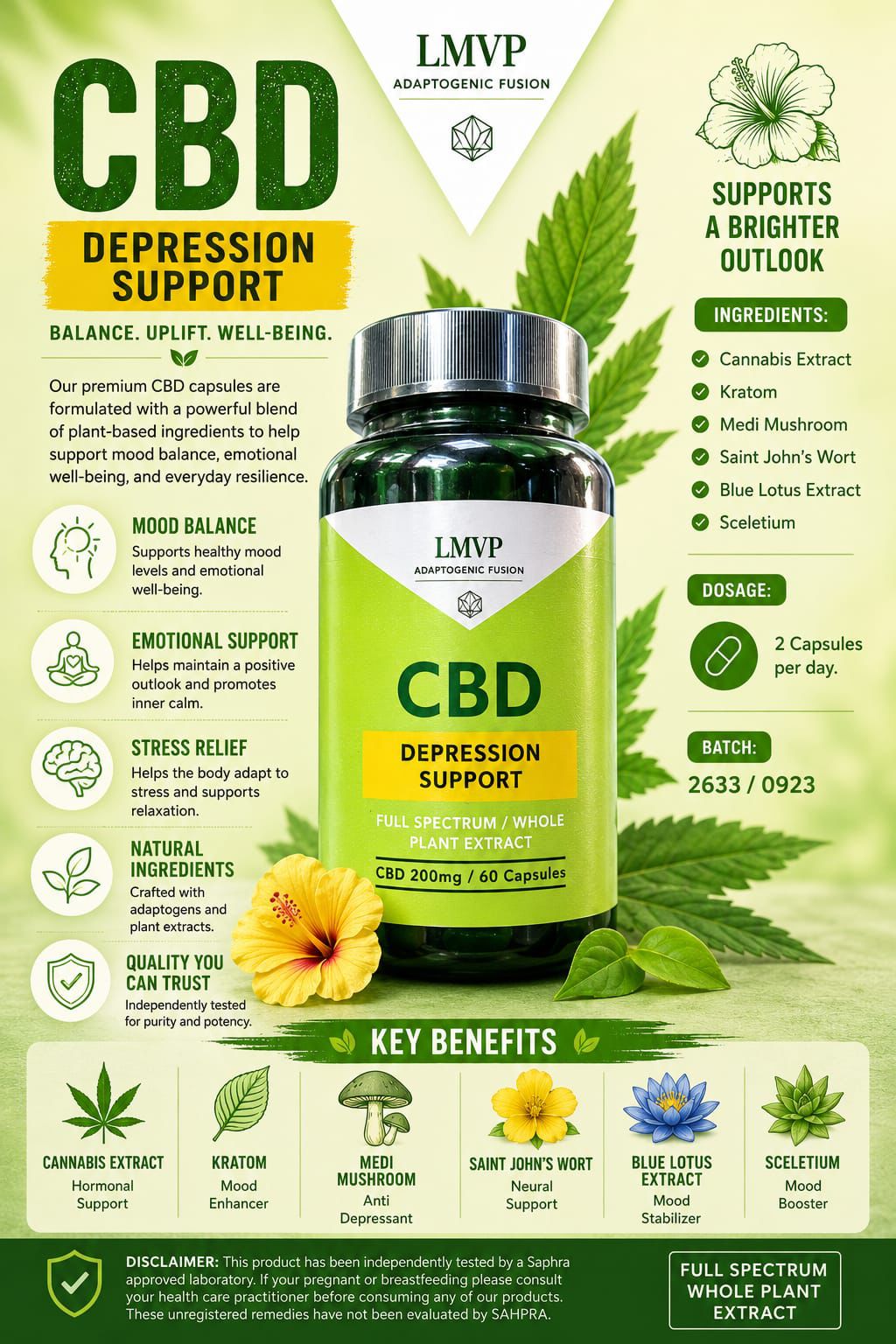 LMVP Depression Support — Capsules (60)| Wellness Range