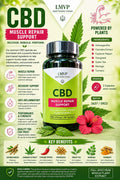LMVP Muscle Repair — Capsules (60) | Wellness Range