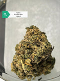 Blue Unicorn — Hybrid | Hydroponic