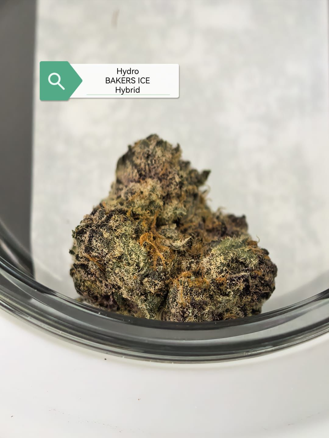 Bakers Ice — Hybrid | Hydroponic