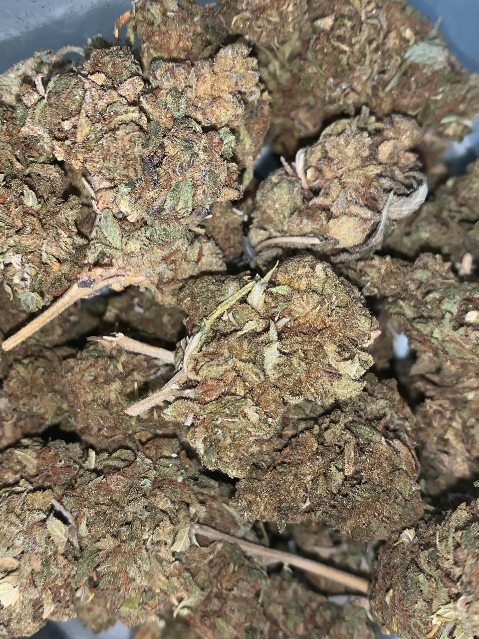 Truffle Treat — Indica | Greendoor House A+ Blend
