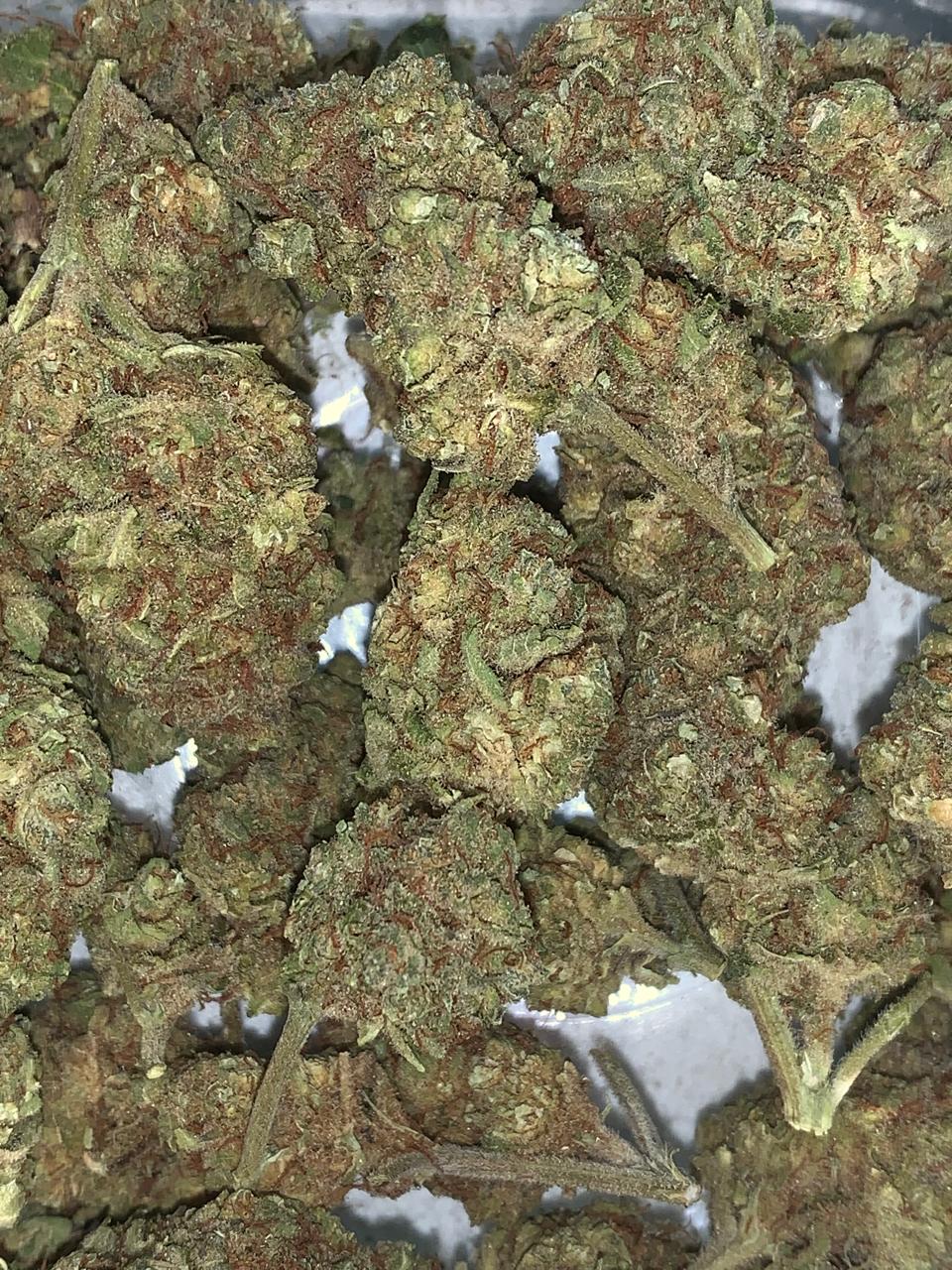 Sunset B — Hybrid | Greendoor/House A+ Blend