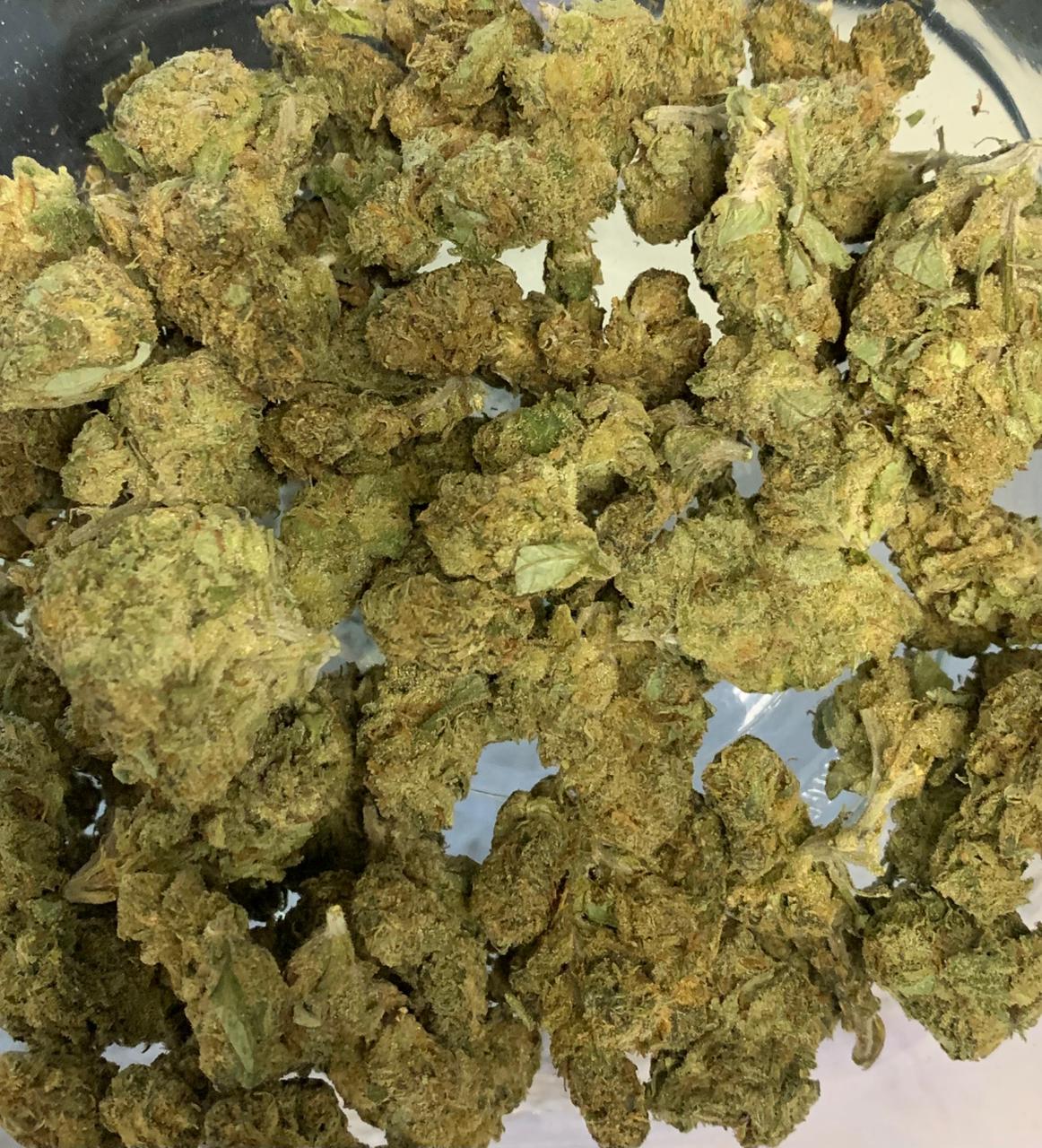 XXX — Hybrid | Greendoor/House A+ Blend