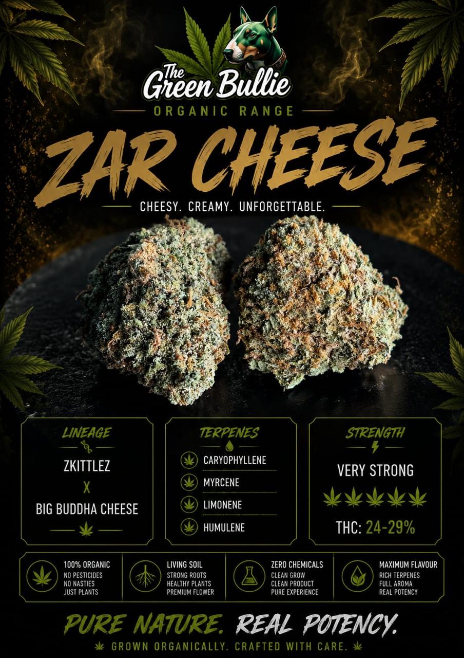 Zar Cheese (Hybrid)GBO AA+