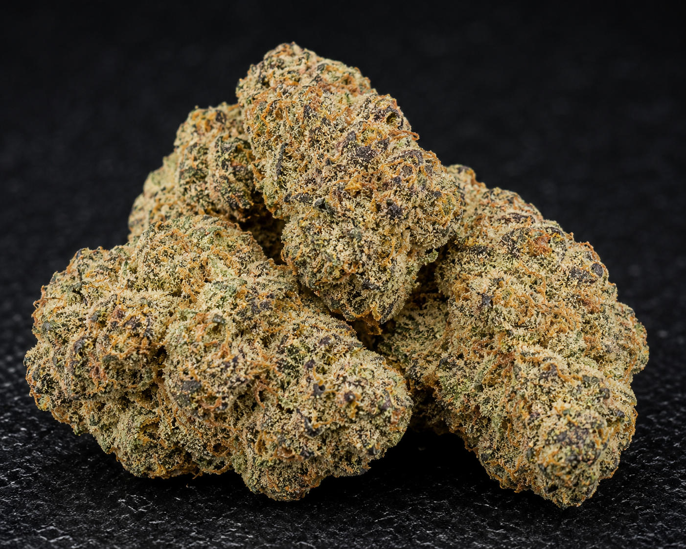Zar Cheese (Hybrid)GBO AA+