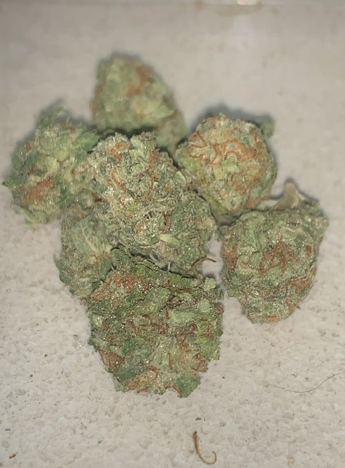 Blue Cheese | Premium Indoor+ Flower