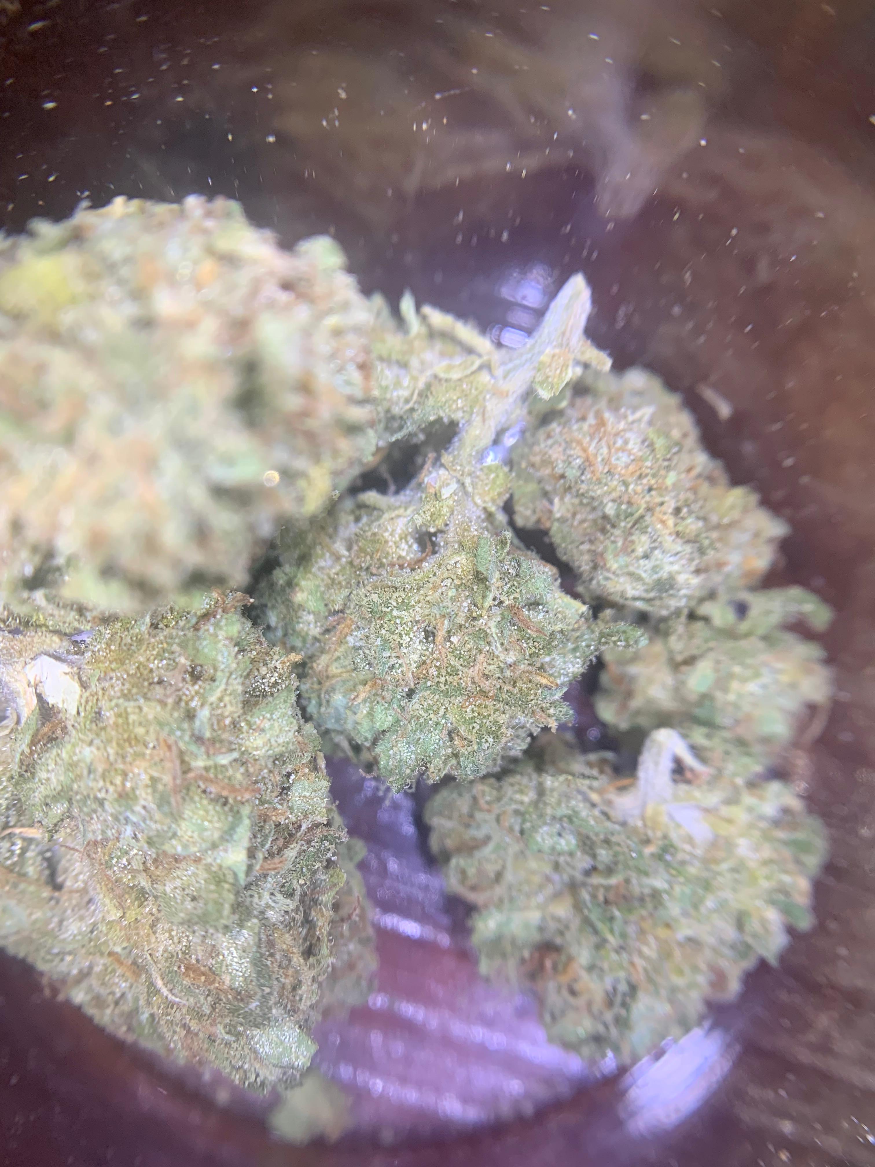 Exodus Cheese A+ (Greendoor Hybrid – 50/50)