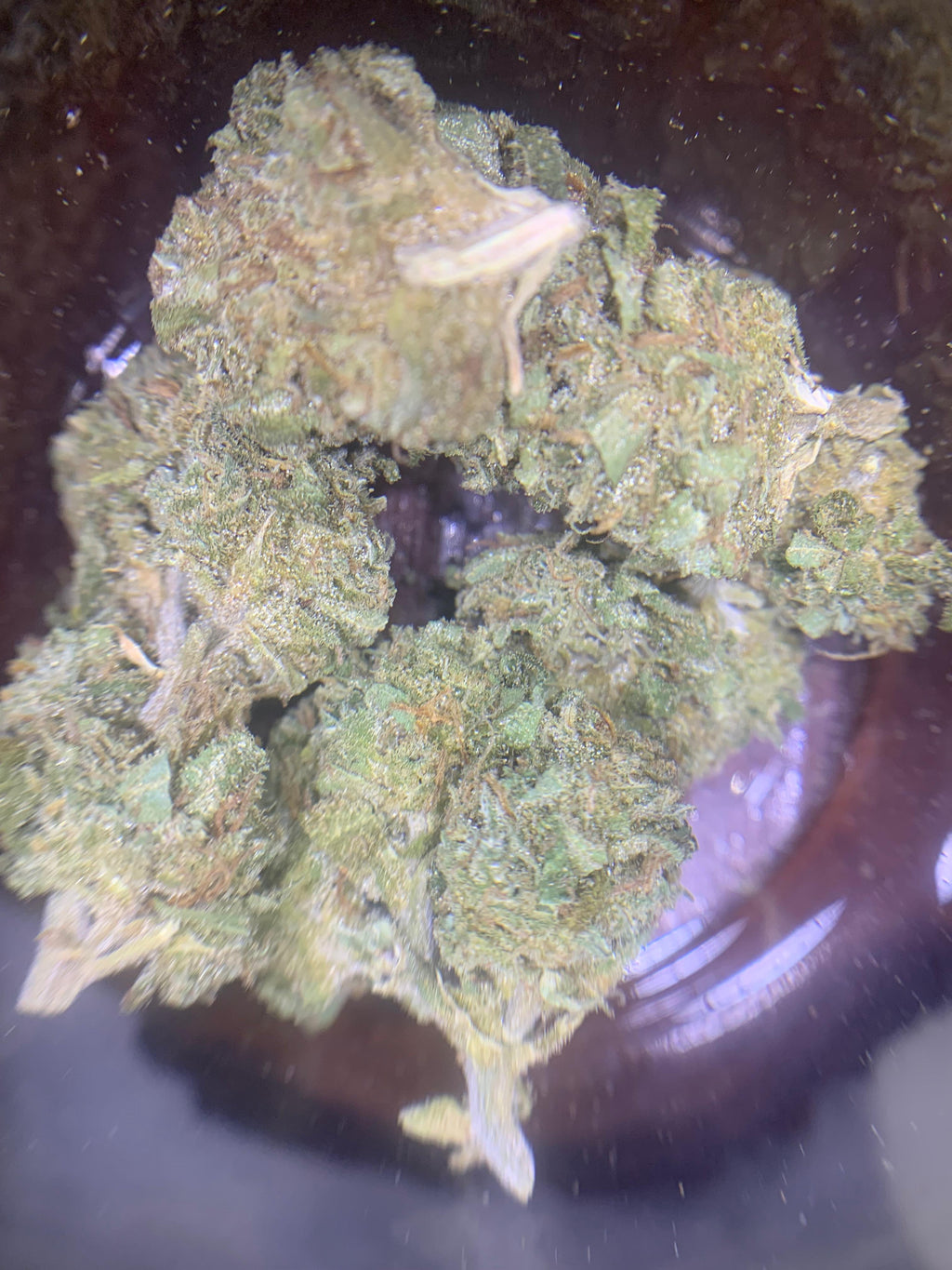 Exodus Cheese A+ (Greendoor Hybrid – 50/50)