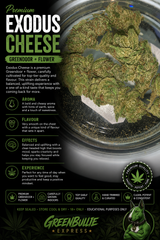 Exodus Cheese Premium Greendoor+ Flower