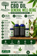 CBD Oil General Well-Being | Daily Balance, Wellness &; Natural Support