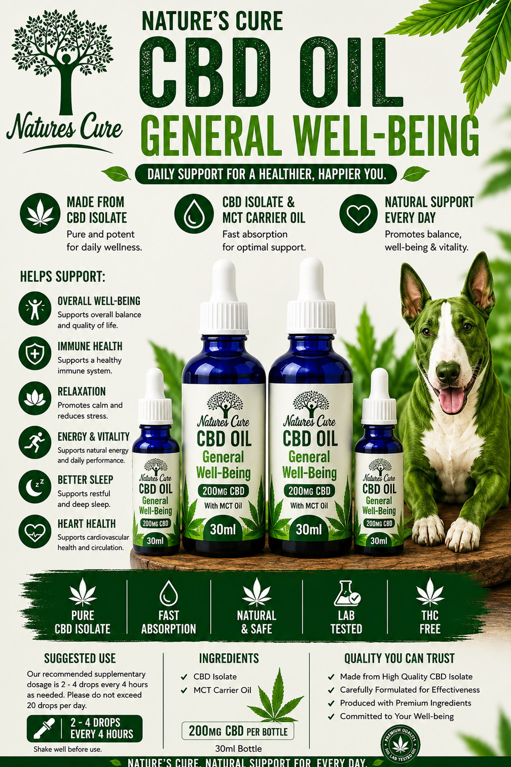 CBD Oil General Well-Being | Daily Balance, Wellness &amp; Natural Support