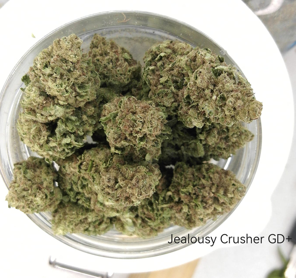 Jealousy Crusher GD+ | Premium GreenDoor+ Flower