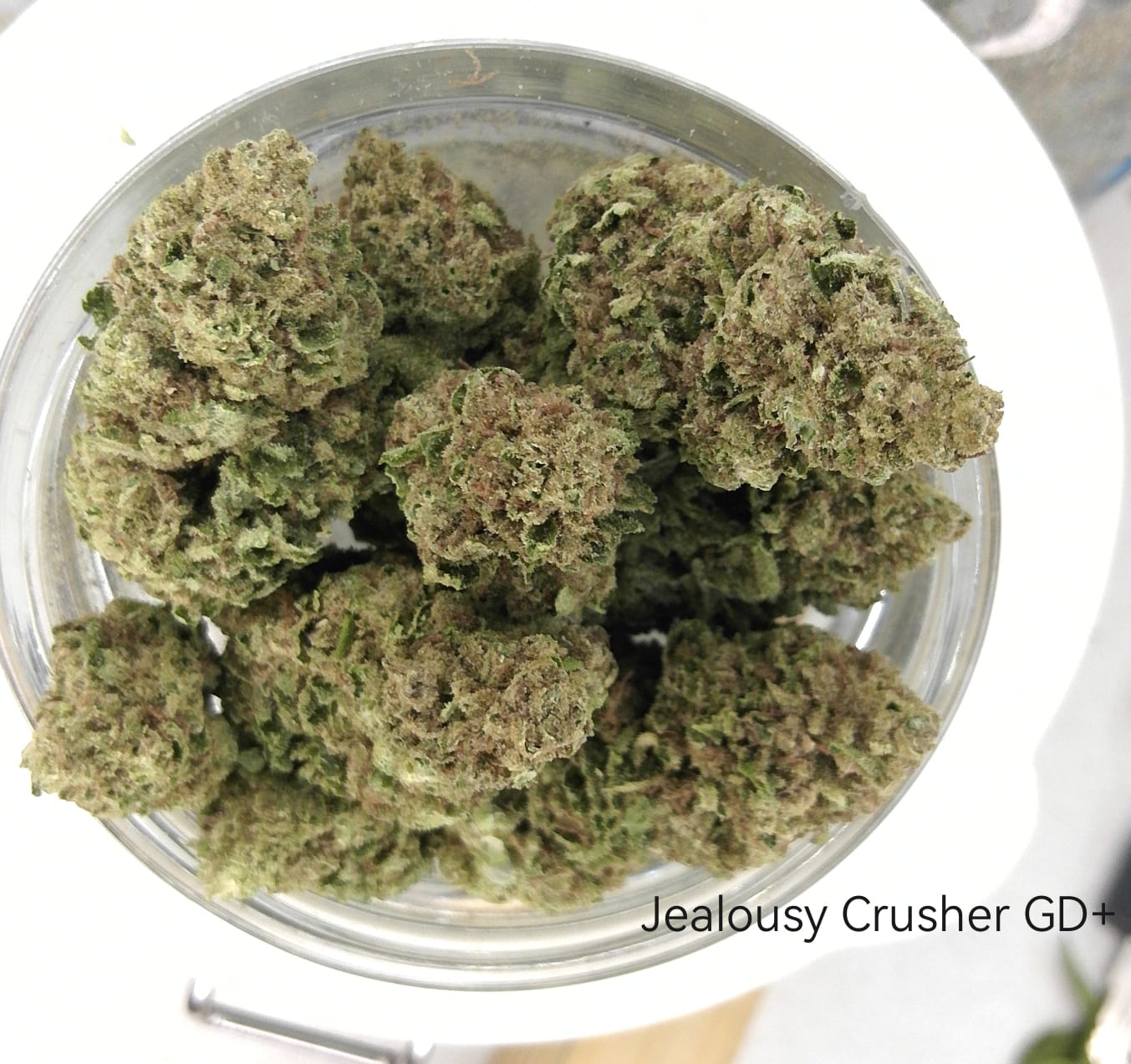 Jealousy Crusher GD+ | Premium GreenDoor+ Flower