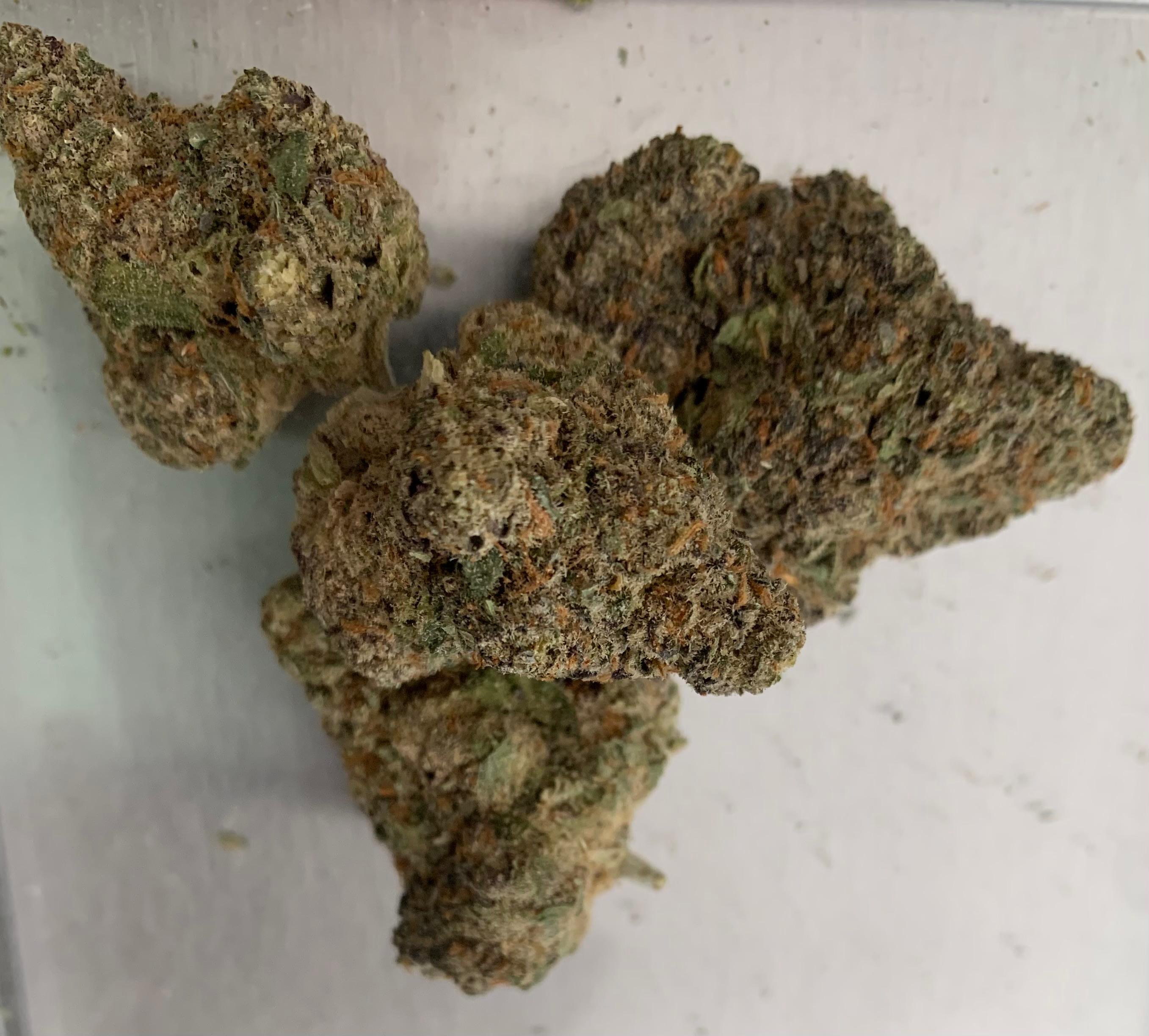 Mimosa — Hybrid | Hydroponic