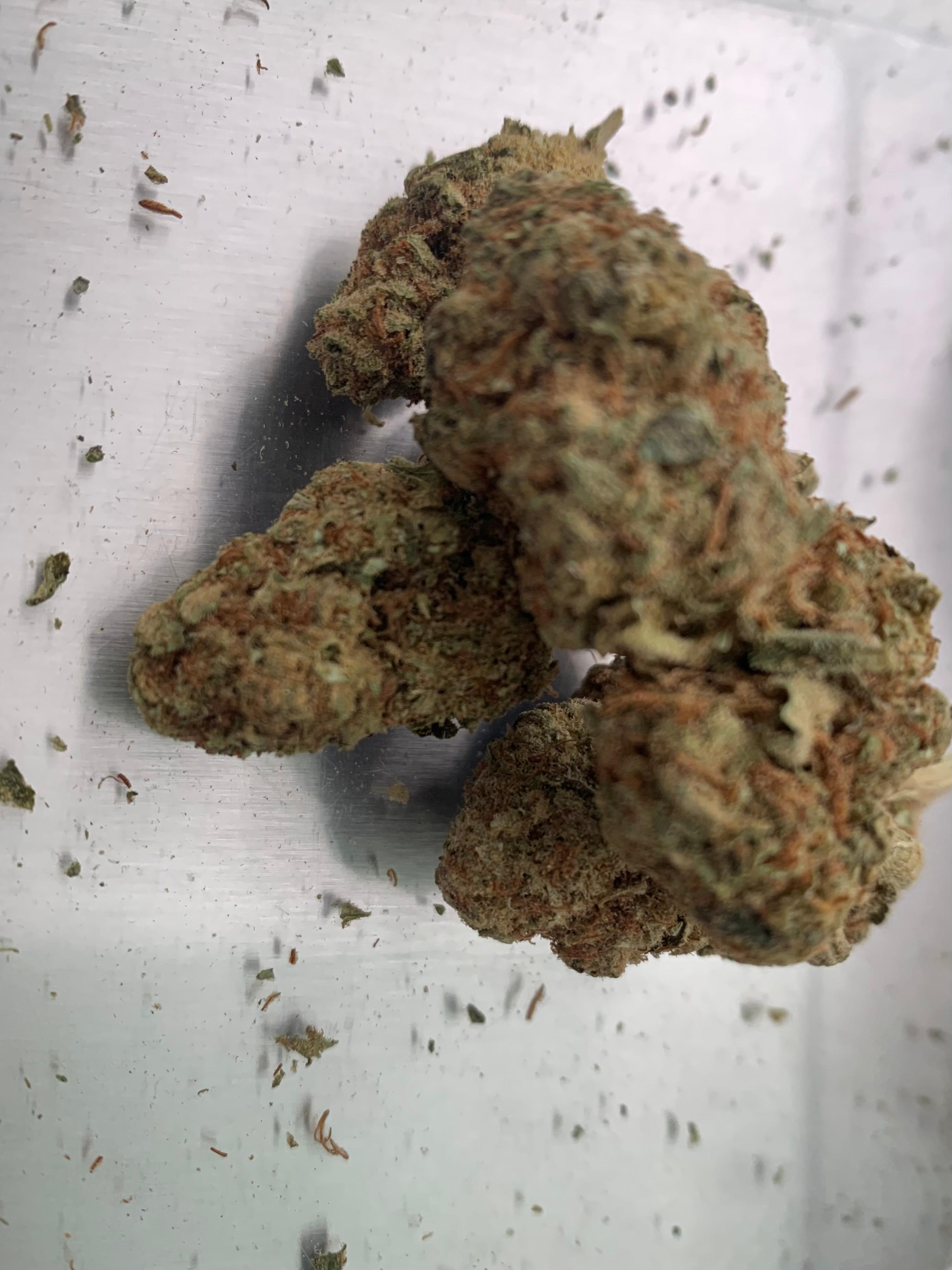 Mystic Apple — Hybrid | Hydroponic