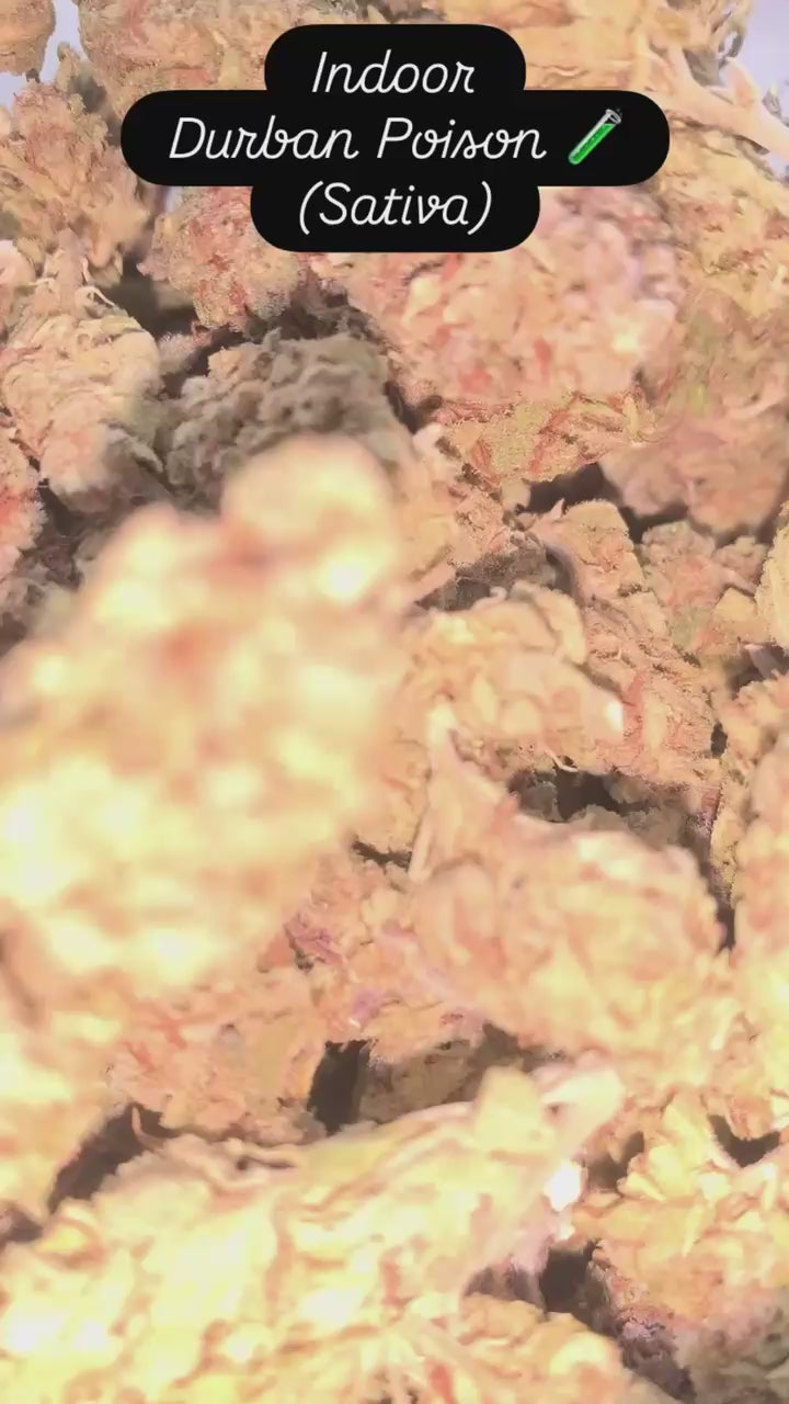 Durban Poison — Sativa | Indoor