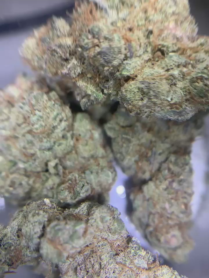 Tropicana Cookies — Hybrid | Indoor (A4) AAAA+