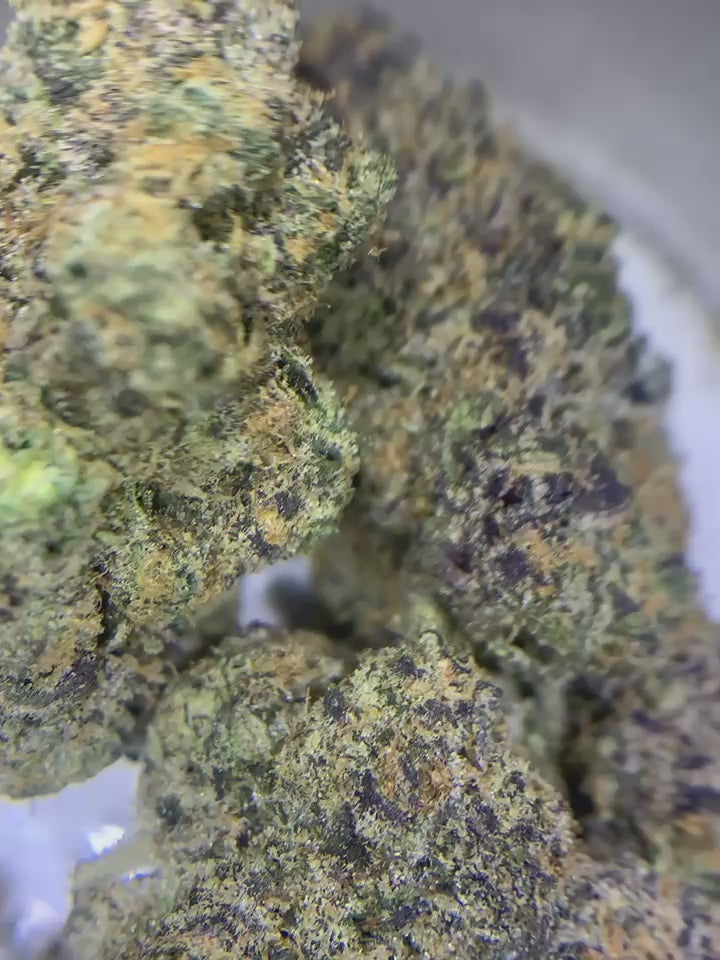 Giga Gas — Hybrid | Indoor (A4) AAAA+