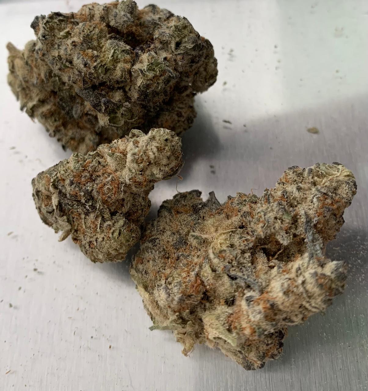 Slurricane — Hybrid | Hydroponic