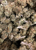 Sunset — Hybrid | Greendoor/House A+ Blend