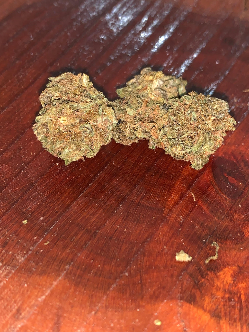 Super Cheese | Premium Greendoor Flower