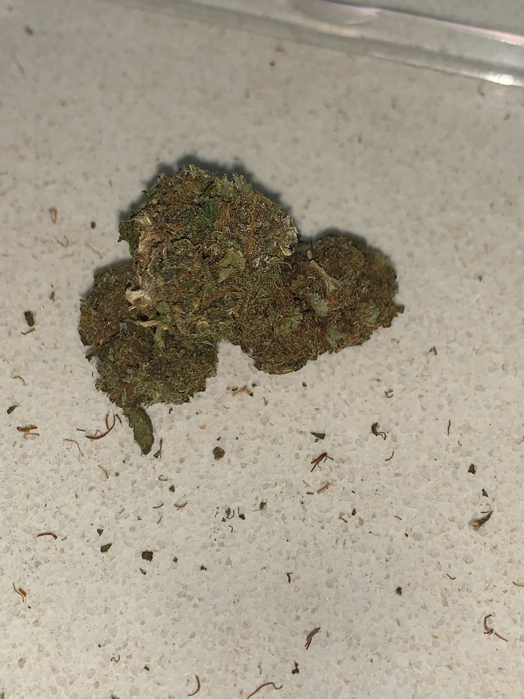 Swiss Cheese | Premium Greendoor+ Flower