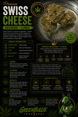 Swiss Cheese | Premium Greendoor+ Flower